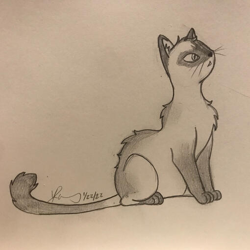 Traditional Sketch by KR